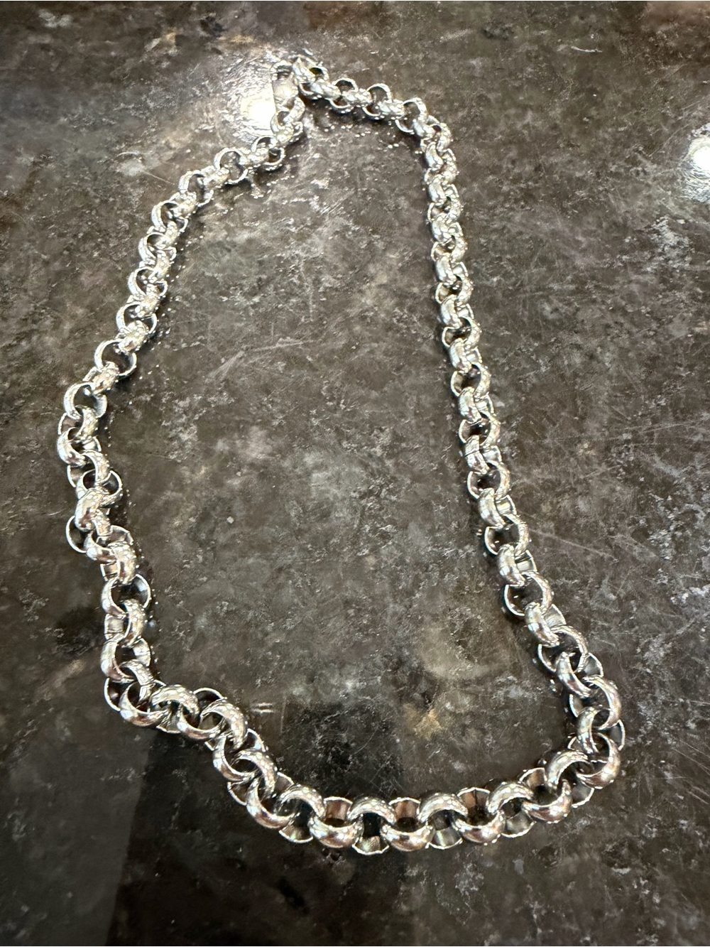 Classic Silver Chain Link Necklace - Women